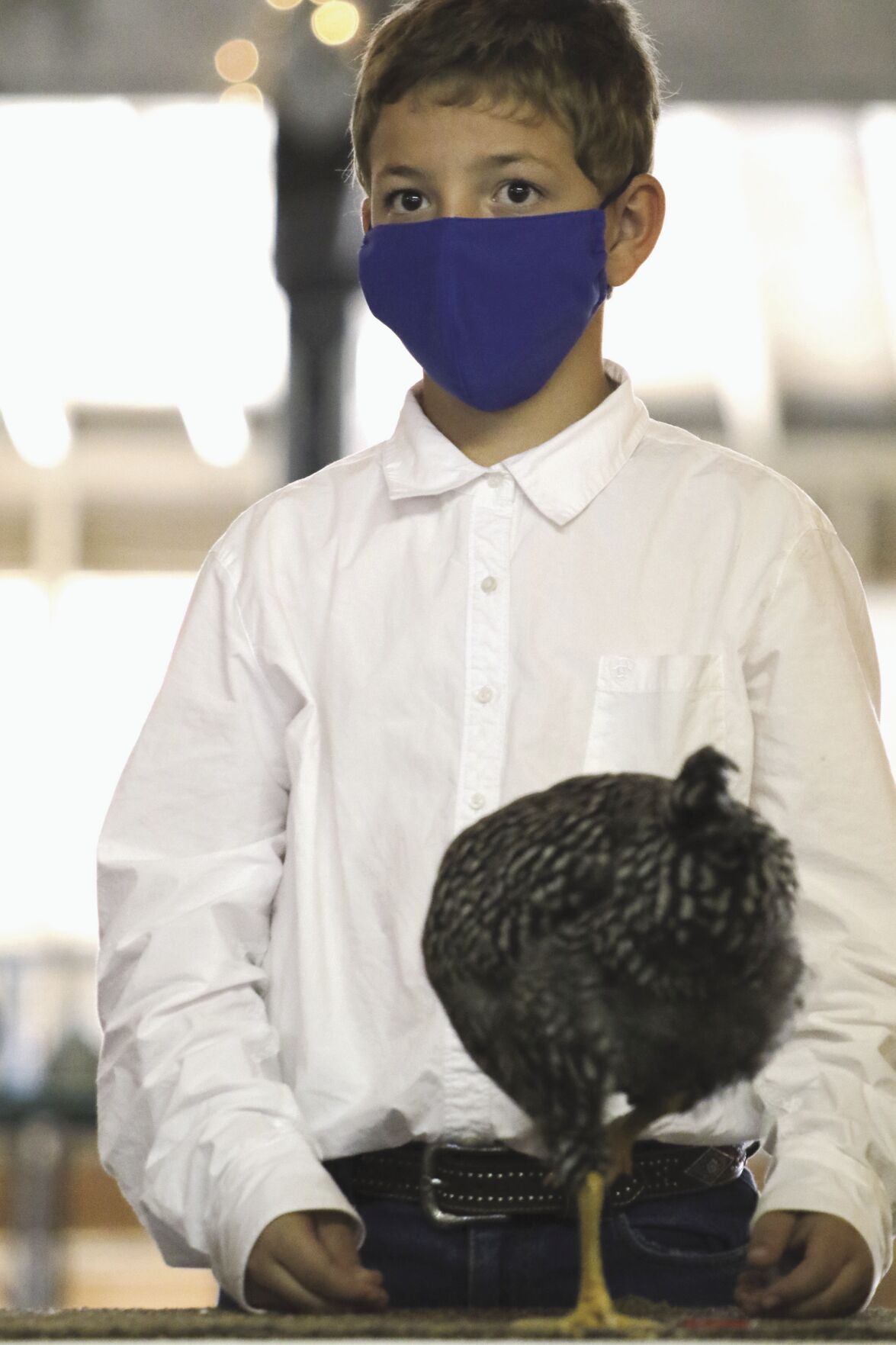 PHOTOS: Poultry Show at Scotts Bluff County Fair 2020